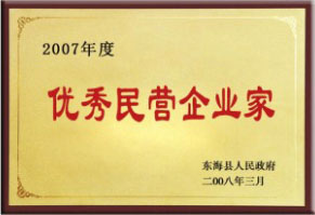 民營(yíng)企業(yè)家